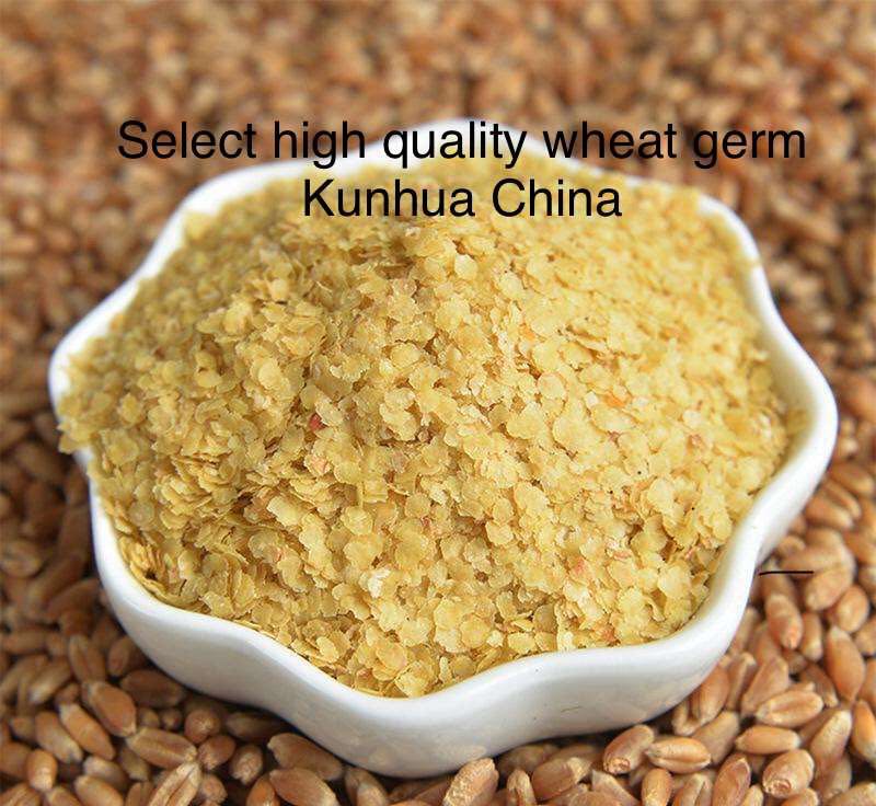 Wheat germ oil supplier